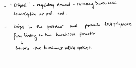 eukaryotic-cells-regulate-gene-expression-by-several-steps-starting-by-transcriptional-control-for-each-of-the-mentioned-steps-below-provide-a-relevant-example-from-drosophila-development-th-85934