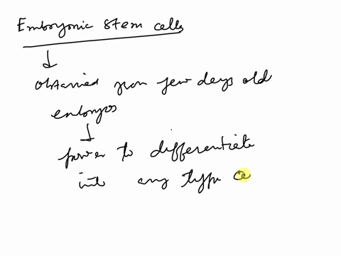why-are-embryonic-stem-cells-more-useful-than-other-stem-cells-58539