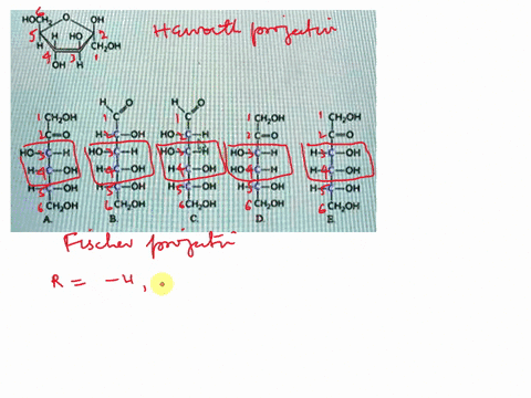 based-on-the-form-of-the-cvclic-sugar-shown-below-in-haworth-projection-which-fischer-projection-formula-could-have-formed-this-structure-hochz-choh-choh-choh-c-0-ekoh-ho-ho-ho-oh-oh-oh-c-oh-26944
