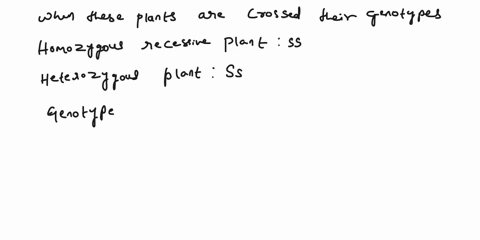 1-a-plant-that-was-homozygous-recessive-for-seed-shape-was-crossed-with-a-plant-that-was-heterozygous-for-seed-shape-what-percentage-of-the-f1-generation-will-be-heterozygous-86308