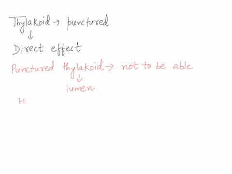 question-44-2-points-assume-a-thylakoid-is-somehow-punctured-so-that-the-interior-of-the-thylakoid-is-no-longer-separated-from-the-stroma-this-damage-will-have-the-most-direct-effect-on-whic-17774