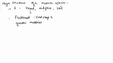 what-are-some-of-the-major-structures-of-a-mature-sperm-56194