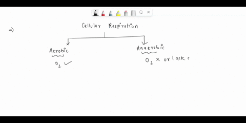 please-help-asappppp-all-living-organisms-break-down-sugars-t0-obtain-energy-in-process-called-cellular-respiration-cellular-respiration-may-take-place-the-presence-of-oxygen-aerobic-or-with-25385