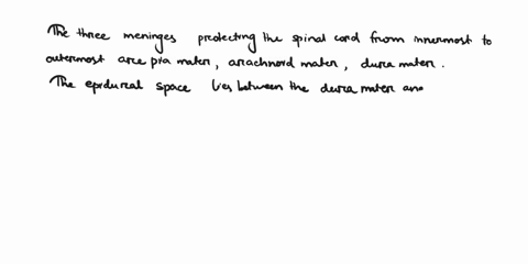 from-innermost-to-outermost-list-the-three-meninges-that-protect-the-spinal-cord-between-the-outermost-meninges-and-the-vertebral-canal-is-the-______________________________-space-which-cont-22007
