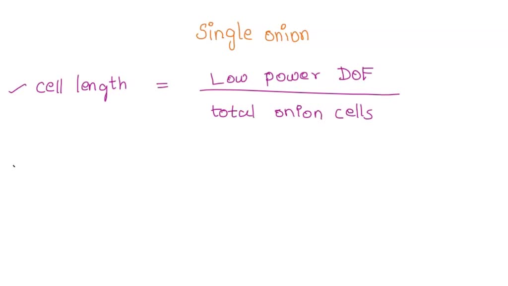 SOLVED Calculate the length of a single onion epidermis cell in micrometers (um) by using the