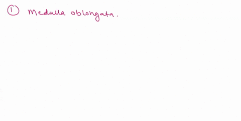 complete-the-sentences-using-the-labels-of-the-major-brain-regions-natall-ctokes-will-be-used-jon-has-never-hiccupped-and-apparenlly-cannot-d0-50-he-may-have-damage-to-his-temporal-cerobrum-12302
