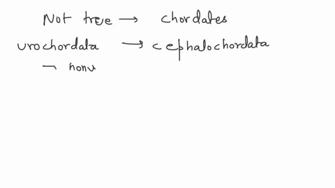 which-of-the-following-is-not-true-about-chordates-o-they-have-bilateral-symmetry-o-they-may-exhibit-a-notochord-o-they-have-a-centralized-nervous-system-o-they-are-all-vertebrates-97634