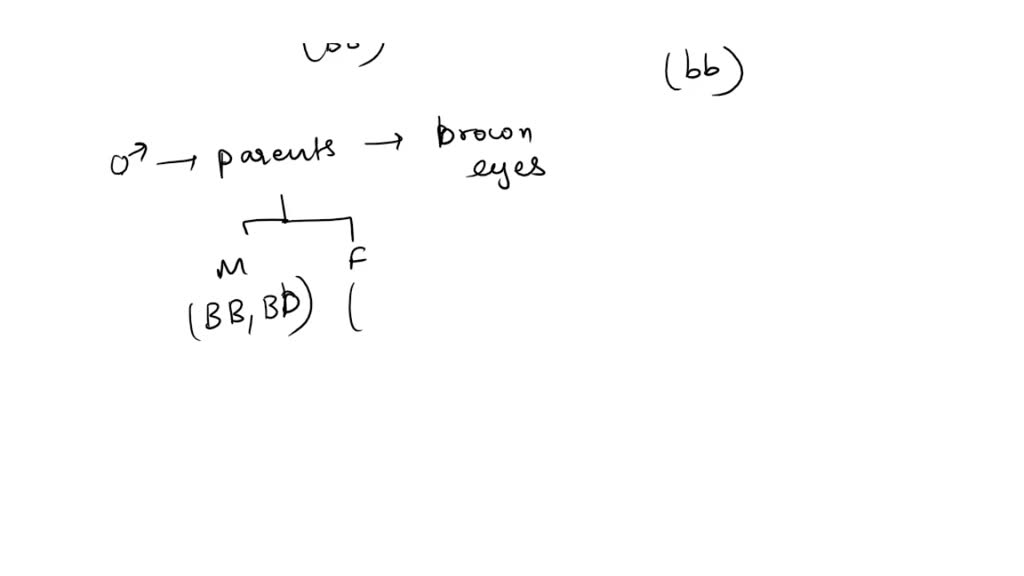 solved-brown-eye-color-is-dominant-and-blue-eye-color-is-recessive-a