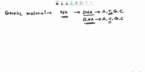 along-one-strand-of-a-double-helix-is-the-nucleotide-sequence-accacgtgatccggtaat-what-is-the-complementary-sequence-for-the-other-dna-strand-55702