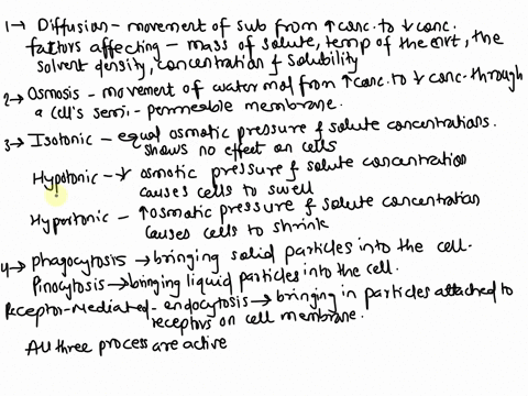 describe-the-process-of-diffusion-what-factors-affect-the-rate-of-diffusion-describe-the-process-of-osmosis-describe-the-difference-between-isotonic-hypertonic-hypotonic-describe-how-water-w-40936