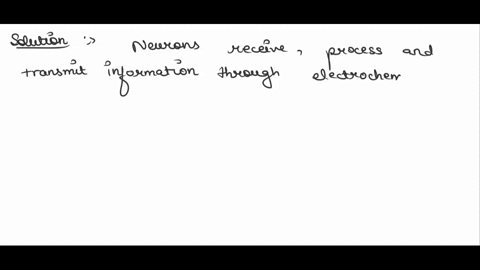 he-basic-functional-unit-of-the-nervous-system-is-the-neuron-what-is-the-major-function-of-this-cell-type-12556