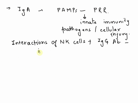 immunoglobulin-a-a-recognizes-pathogen-associated-molecular-patterns-b-binds-with-nk-cells-c-prevent-80623