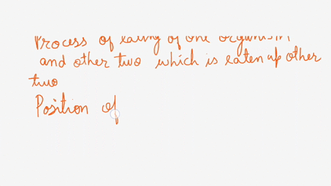 organisms-higher-in-a-food-web-eat-everything-that-is-lower-in-the-food-web-true-false-47898