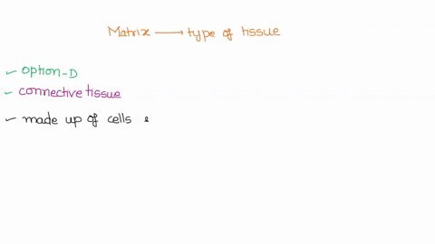 matrix-is-characteristic-of-which-type-of-tissue-a-epithelial-b-nervous-c-muscle-d-connective-32576