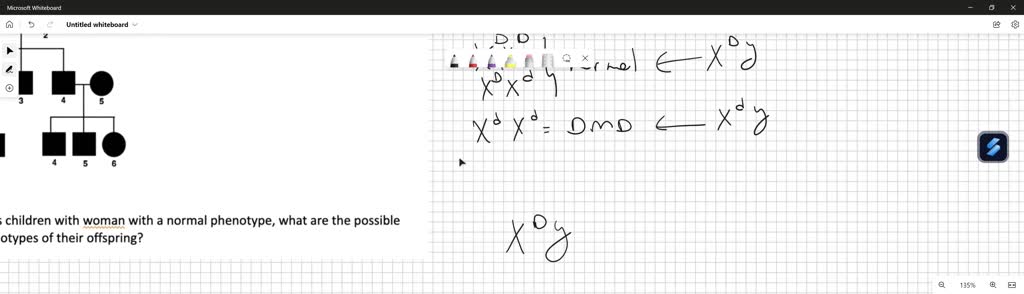 SOLVED: Duchenne Muscular Dystrophy (DMD) is a rare X-linked recessive trait. Consider the ...