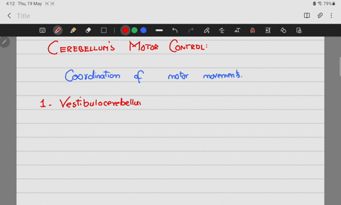 what-is-the-role-of-the-cerebellum-in-motor-functioning-26382
