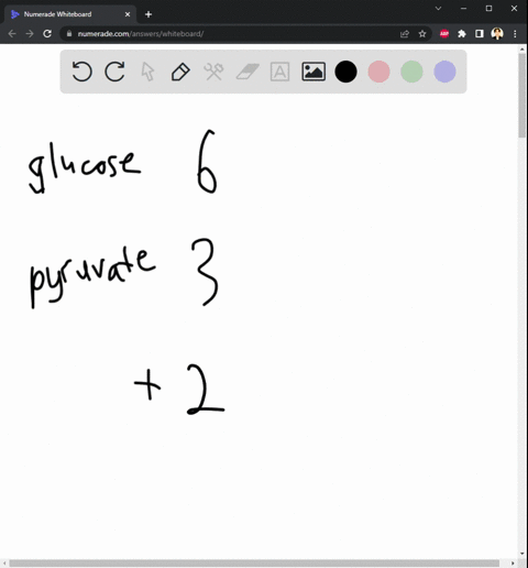 glycolysis-beginning-molecule-how-many-carbon-molecules-does-it-have-ending-molecule_-how-many-carbon-molecules-does-it-have-how-many-net-atps-are-produced-during-glycolysis-krebs-cyclecitri-35658