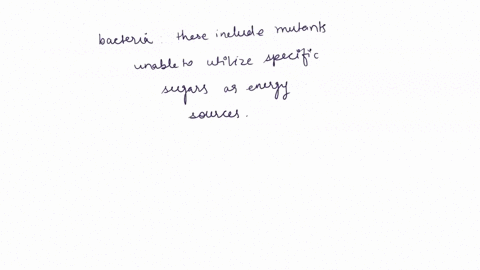 geneticists-have-used-mutations-that-cause-altered-phenotypes-such-as-white-eyes-in-drosophila-white-23822