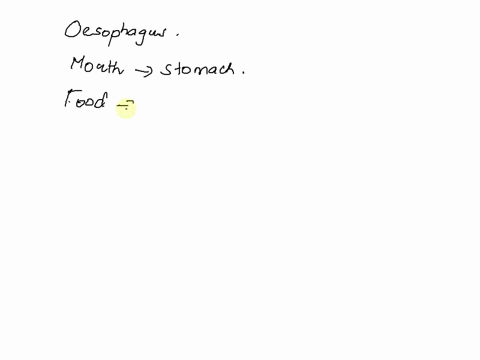 the-digestion-of-which-of-the-following-types-of-food-happens-in-the-esophagus-select-one-carbohydrates-proteins-fats-none-of-the-above-10407