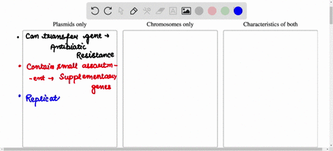 prokaryotes-may-contain-both-plasmid-and-chromosomal-genomes-classify-each-description-as-a-characteristic-of-prokaryotic-plasmids-prokaryotic-chromosomes-o-both-plasmids-only-chromosomes-on-54352