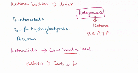list-the-ketone-bodies-what-compound-is-used-to-form-the-ketone-bodies-in-general-terms-describe-how-they-are-formed-include-the-tissue-site-compound-needed-to-form-ketone-bodies-and-specifi-38837