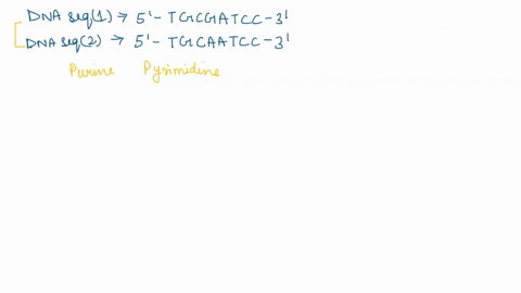 question-2-1-point-the-following-dna-sequence-5-tgcgatcc-3-is-mutated-to-this-is-an-example-of-which-type-of-mutation-tgcaatcc-3-insertion-transversion-transition-tautomeric-shift-61926
