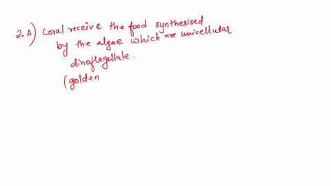 addition_-many-coral-polyps-each-polyp-obtains-its-dwv-nutrition-by-filter-feeding-in-have-symbiotic-relationship-with-photosynthetic-dinoflagellate-algae-what-do-you-think-the-coral-receive-33943