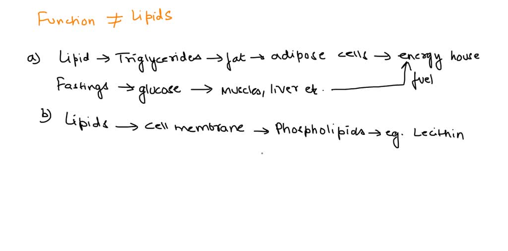 SOLVED QUESTION 40 Which is NOT considered to be a function of lipids
