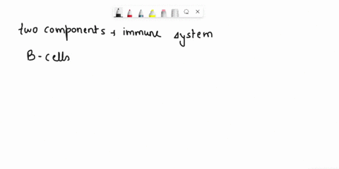 ________and-________are-part-of-the-adaptive-immune-system-and-able-to-establish-immunological-memory-these-mark-pathogens-for-destruction-by-phagocytes-and-complement-proteins-and-neutraliz-21804