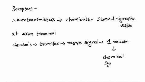 where-are-neurotransmitter-receptors-located-a-the-nuclear-membrane-b-the-nodes-of-ranvier-c-the-p-2-95314