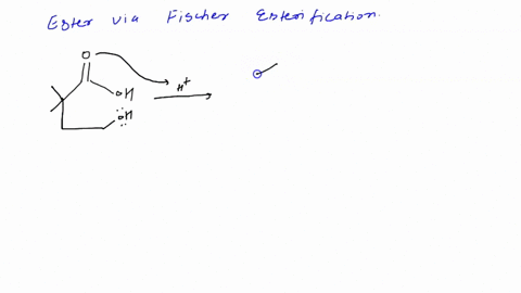 smell-your-product-preparing-scented-esters-via-fischer-esterification-2-pts-identify-the-starting-material-to-prepare-the-internal-ester-lactone-shown-below-4-pts-draw-the-first-intermediat-36679