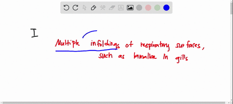 1-which-of-the-following-structures-is-intended-to-maximize-the-surface-area-available-for-gas-exchange-a-thin-membranes-lining-respiratory-organs-such-as-gills-and-lungs-b-multiple-infoldin-38217