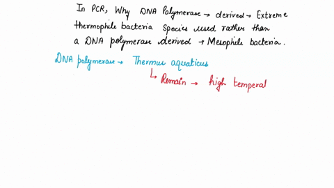 in-pcr-why-is-a-dna-polymerase-derived-from-an-extreme-thermophile-bacteria-species-used-rather-than-a-dna-polymerase-derived-from-a-mesophile-bacteria-species-65664