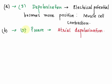 match-the-items-a-electrical-signal-that-signals-muscle-cells-to-contract-b-results-from-atrial-depolarization-and-initiates-contraction-of-the-atria-cresults-from-ventricular-repolarization-57625