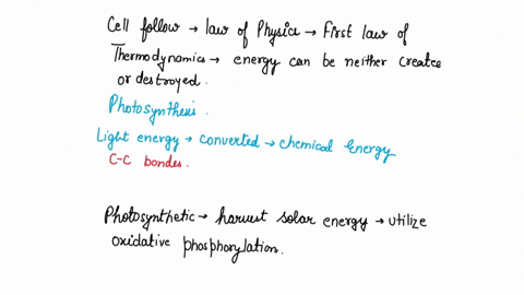 cells-follow-all-the-laws-of-physics-including-the-first-law-of-thermodynamics-which-states-that-energy-can-be-neither-created-or-destroyed-cells-utilize-lots-of-energy-to-create-organized-s-92091