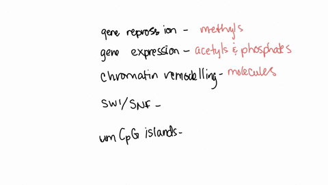 eukaryotic-gene-regulation-homework-unanswered-match-the-following-to-the-descriptions-provided-drag-and-drop-options-on-the-right-hand-side-and-submit-for-keyboard-navigation__-show-more-mo-93291