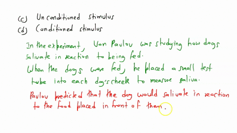 in-pavlovs-experiments-dogs-learned-to-drool-in-response-to-a-tone-the-tone-is-therefore-an-a-condit-41771