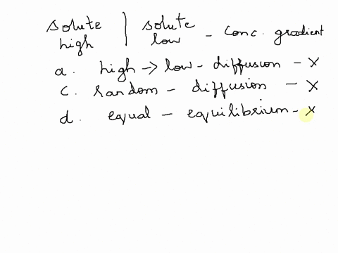 sugar-15-which-of-the-diagrams-at-right-best-represents-movement-of-molecules-in-osmosis-the-waler-16a-concentration-gradient-is-best-described-as-a-the-movement-of-substances-from-high-conc-10304
