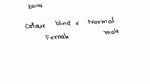 colorblind-didthe-50n-j-8-rer-hi-ullele-for-colorblindces-son-62-explain-1-l-colorblind-daughter-kat-pip-probabllity-1-juo-ofa-colorblind-darents-1-1-2-howv-dldyou-determinethc-1-1-1-2-first-43983