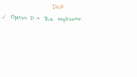 question-7-05-points-the-complex-of-several-large-proteins-that-replicates-the-dna-is-called-a-polymerase-b-helicase-c-the-primosome-d-the-replisome-e-a-b-f-none-of-the-above-61139