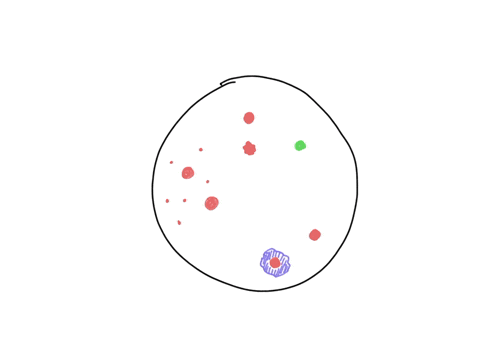 you-counted-different-different-types-of-bacteria-on-the-plates-how-can-you-tell-that-the-bacteria-were-different-types-of-bacteria-check-all-that-apply-a-different-colony-morphology-b-you-r-19479