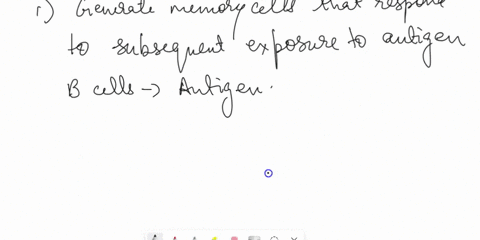 you-learned-in-the-previous-lesson-that-t-cells-require-two-independent-signals-to-become-activated-when-t-cells-are-activated-they-acquire-effector-functions-and-begin-to-proliferate-this-t-73593
