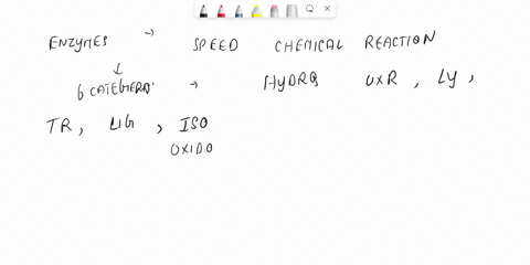match-the-transport-process-to-the-correct-description-or-example-simple-diffusion-is-transport-of-large-macromolecules-into-a-cell-transport-of-glucose-out-of-cell-with-its-concentration-gr-82438