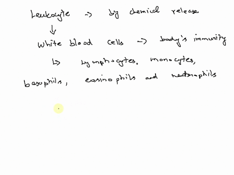 which-of-the-following-leukocytes-kills-its-target-cells-such-as-cancer-cells-or-virus-infected-cells-by-releasing-chemicals-that-break-down-the-target-cell-membrane-t-lymphocytes-natural-ki-44588