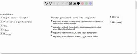 match-the-following-negative-control-of-transcription-multiple-genes-under-the-control-of-the-same-promoter-positive-control-of-gene-transcription-regulatory-molecule-that-negatively-regulat-49726