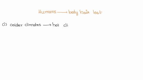 humans-are-one-of-the-few-animals-that-have-lost-most-of-their-body-hair-instead-using-clothing-to-protect-from-adverse-conditions-which-is-only-an-option-for-highly-intelligent-species-hypo-55882