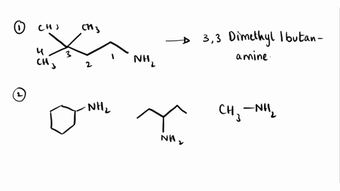 provide-the-iupac-name-for-the-compound-shown-below-ch3-h3c-_-h3c-nh2-333-trimethyl-i-propylamine-22-dimethyl-4-butanamine-c-33-dimethyl-i-butanamine-d-33-dimethylaminobutane-which-of-the-fo-70878