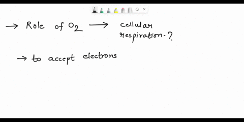 whats-the-role-of-oxygen-in-cellular-respiration-ae-3-09cinins-2-select-the-correct-answer-whats-the-role-of-oxygen-in-cellular-respiration-a-it-accepts-electrons-and-keeps-the-electron-tran-92343