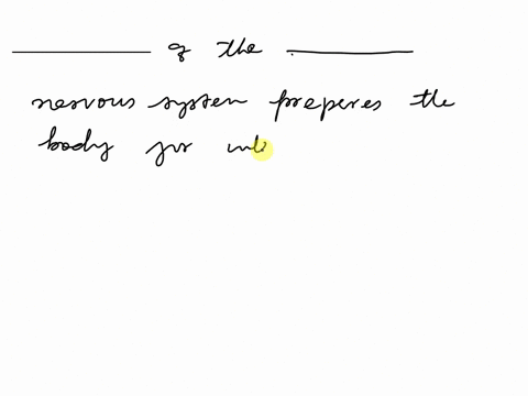 partial-question-9-05-1-pts-neurotransmitters-of-the-sympathetic-nervous-system-prepares-the-body-for-intense-physical-activity-in-an-emergency-answer-1-neurotransmitters-answer-2-sympatheti-17989