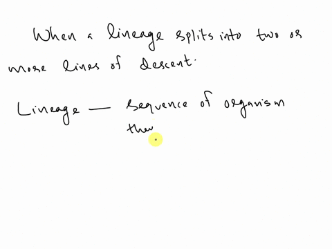 ____-happens-when-a-lineage-splits-into-two-or-more-lines-of-descent-36302